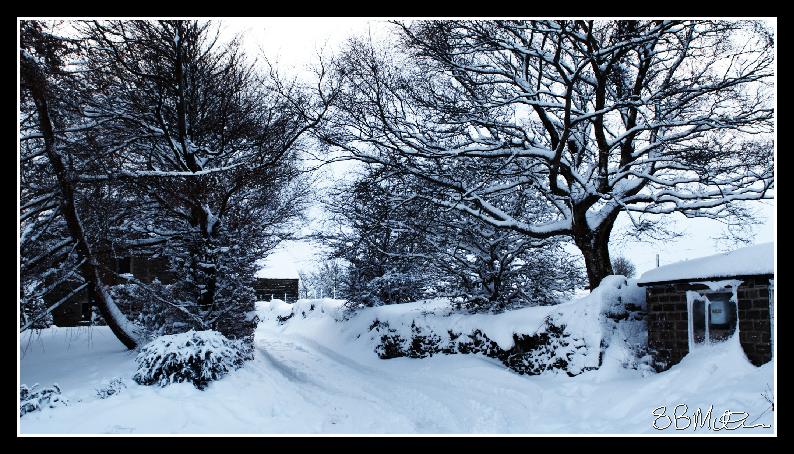 Winter Lane: Photograph by Steve Milner